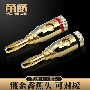 ��� 僽�4mm�㽶�^ �⺸�����侀���Ⱦ����^ ��������Ӿ������^