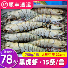 黑虎虾鲜活海虾冷冻老虎虾青岛新鲜大虾水产深海捕捞草虾顺丰