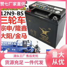 三轮摩托车110/150/175宗申隆鑫摩托免维护蓄电池12伏9安干电瓶