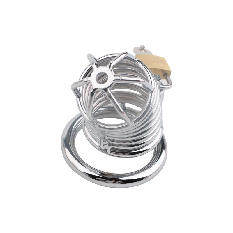 Metal Male Chastity Cage Lock, Snake-Style Birdcage Design, Adult Abstinence Training Device — detail image 6