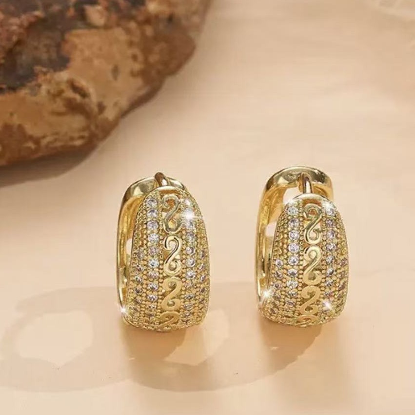 Exquisite Diamond Zircon Circle Drop Earrings For Women Elegant_voghion.com