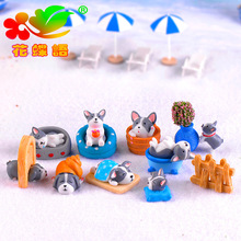 ȹ С΢^[֬ˇƷ@ˇ辰[DIYbز