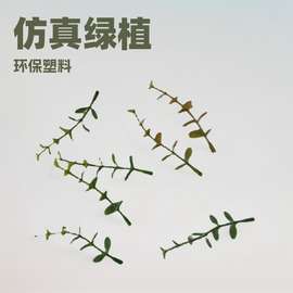 植物绿植盆栽隔断栅栏花草塑料插花配材7叉金钱叶尤加利高仿真