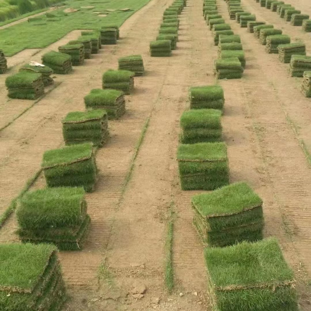 667a7306830dff5cb69ea04ed75604