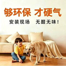 墙布;壁画;墙纸、壁纸