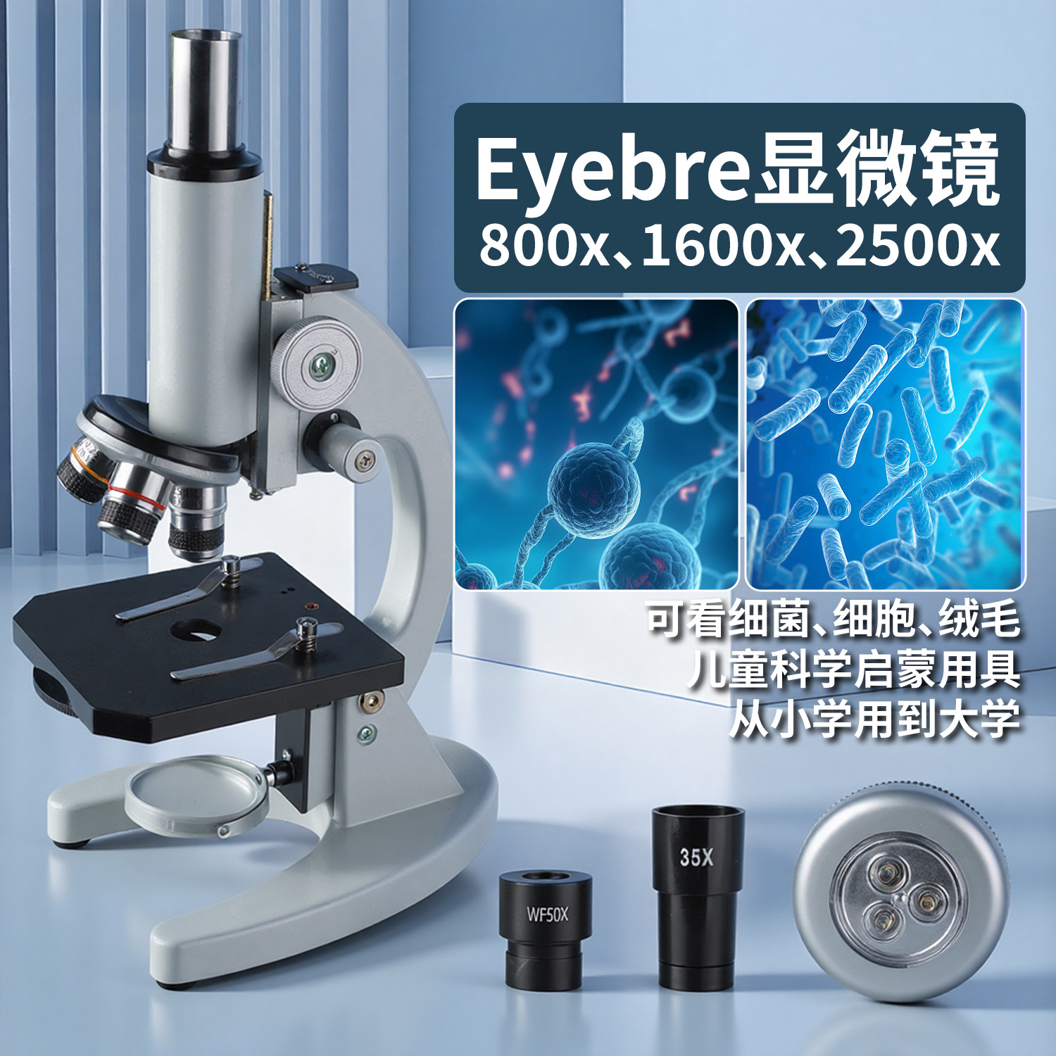 批发XSP-02光学显微镜高清中小学生生物教学科普实验可看细胞跨境