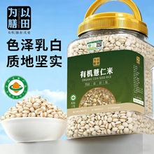 ������� �ЙC޲���� ���V���|�V�ߵ��� ޲��������s�Z ����޲��
