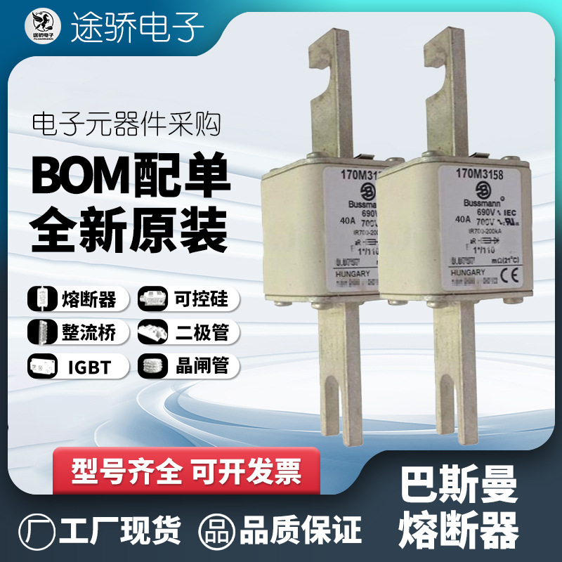 170M3158 170M3159 170M3160 170M3161 bussmann伊顿巴斯曼熔断器