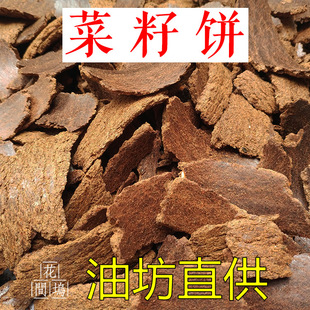 �������~��C�ϻ������Ͳ˿�ʲ��ɿɮ������ϻ�������~�D