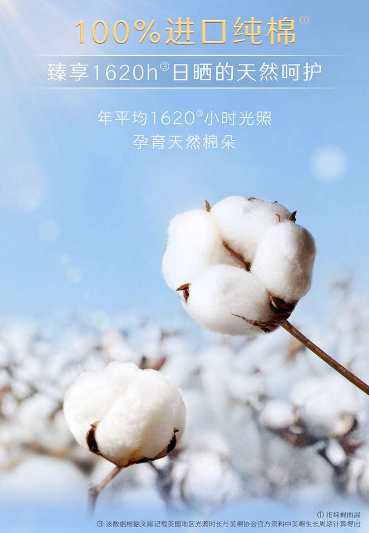 240-8_03.jpg
