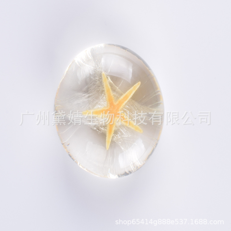 Amino Acid Essential Oil Soap Transparent Soap Conch Shell Starfish Creative Handmade Soap Cleansing Bath Soap One Piece Dropshipping