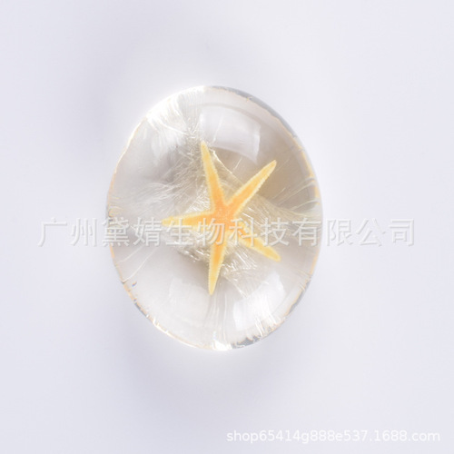Amino Acid Essential Oil Soap Transparent Soap Conch Shell Starfish Creative Handmade Soap Cleansing Bath Soap One Piece Dropshipping