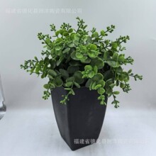 �մɻ�����ñ��WС���莧�бP���������転Ƥ�m�lؔ��ɻ���