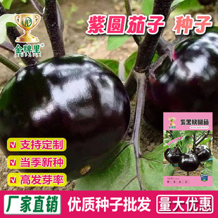 �����ѷN���ψA���ӷN���ļ��͟�ͥԺ�̨�������ӷN�Ӵ�ȫ