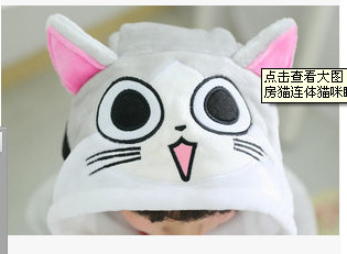 고양이