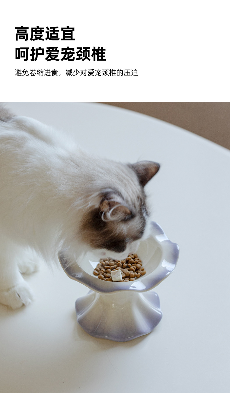 裙摆猫碗_09.jpg