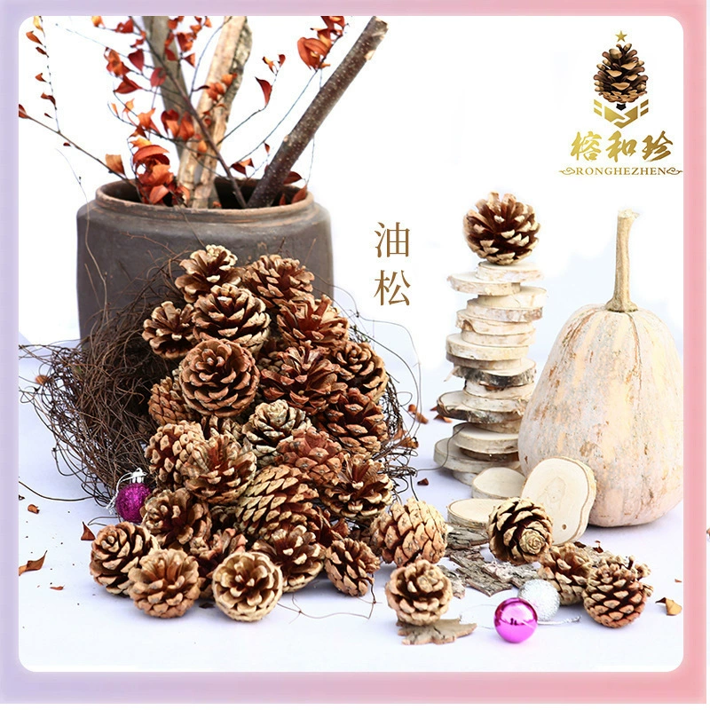 ➻Pine cones, natural pine cones, American pine, local pine, pine cones, Dalintou, pine flowers, pine cone crafts