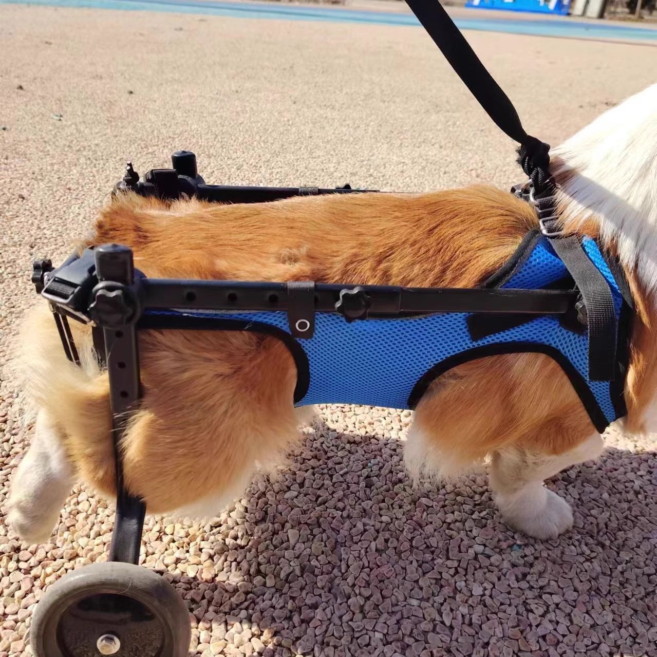 Silla de Ruedas para Perros de Metal Plegable, Multifuncional para Rehabilitación de Perros