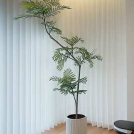 植物蓝花楹中式禅意仿生绿植假树盆栽室内客厅落地装饰摆件