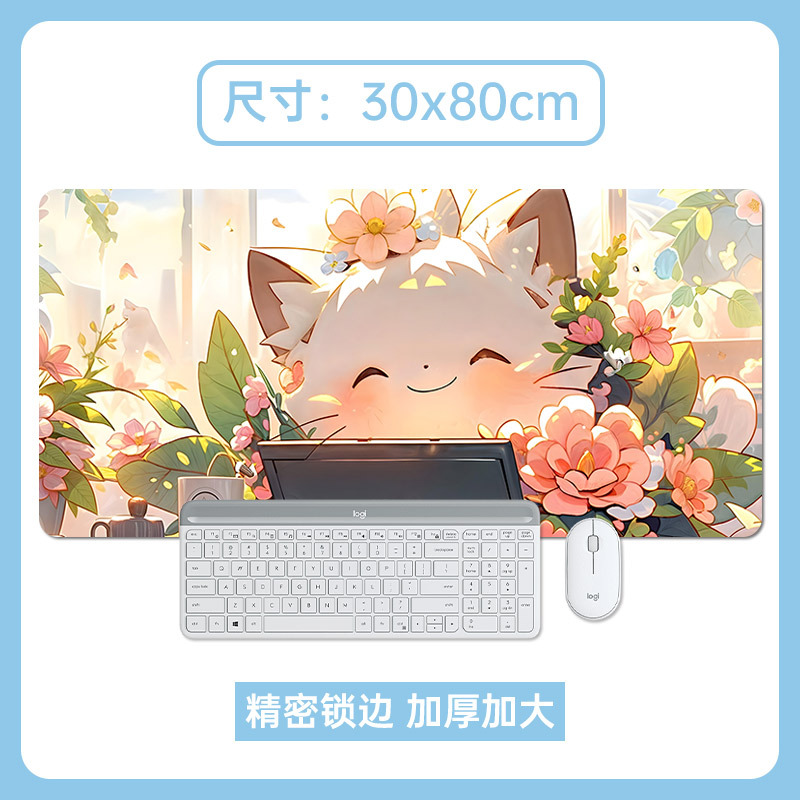 귀여운 흰 고양이