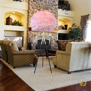 ?�W�����s�羳�����Zë��؟���ɫ�p�ݱ��W���һ�c��Ů�b��^