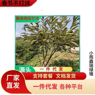 �������������޽Ӵ�t���������������ͥԺ�ϱ����Nֲ����Y��