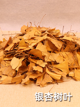 yӘ~~~ɻ˱~b~Nɘ~ֹ~