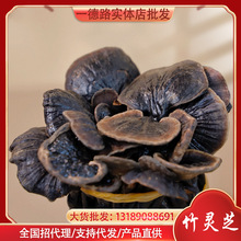 灵芝菌类滋补干货批发 云南深山特产 竹灵芝 当季新货整支长颈