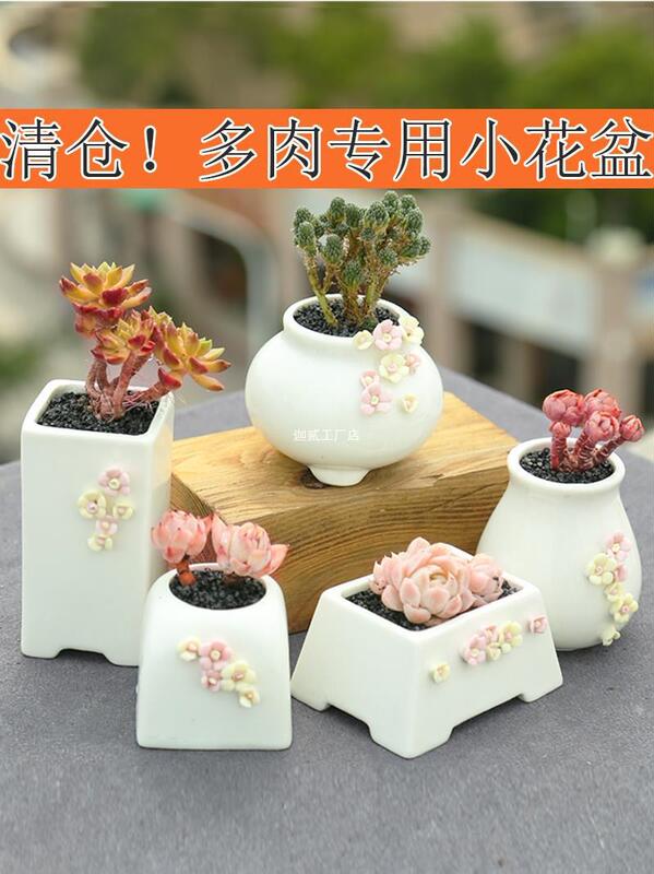 Full stop simple plant fleshy flower pot ceramic special clearance free shipping small size thumb pot flower breathable stoneware