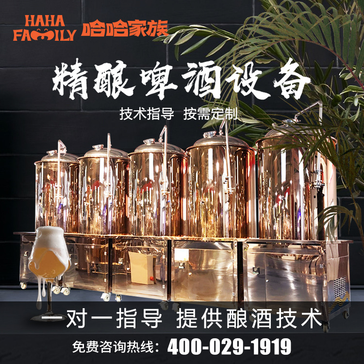 大型精酿啤酒厂酿造设备 精酿啤酒灌装流水线 小型酿造啤酒设备