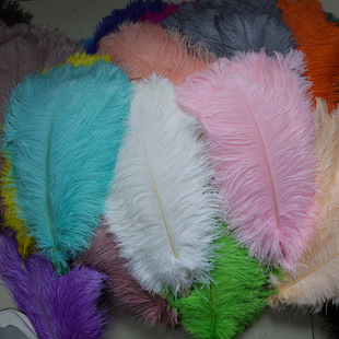 �F؛��ɫ��ë40-45cm�Ϸ��r�B��ë�b[���Ƶ��c������������