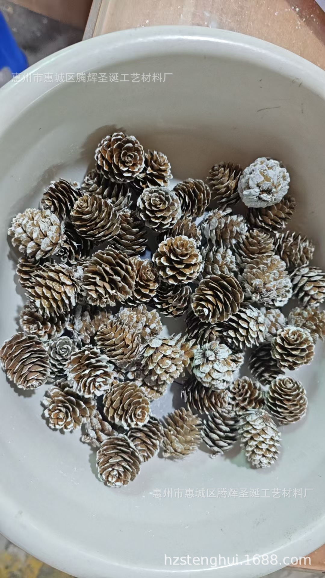 微信图片_20251017112927_433_240