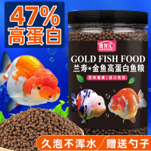 ���ٽ������ϸߵ���̩ʨ��ʳ�ϸ��³���С������ɫ����