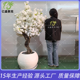 ���挍ľ�ѻ����辰�͏d����٘�Artificial cherry blossom tree