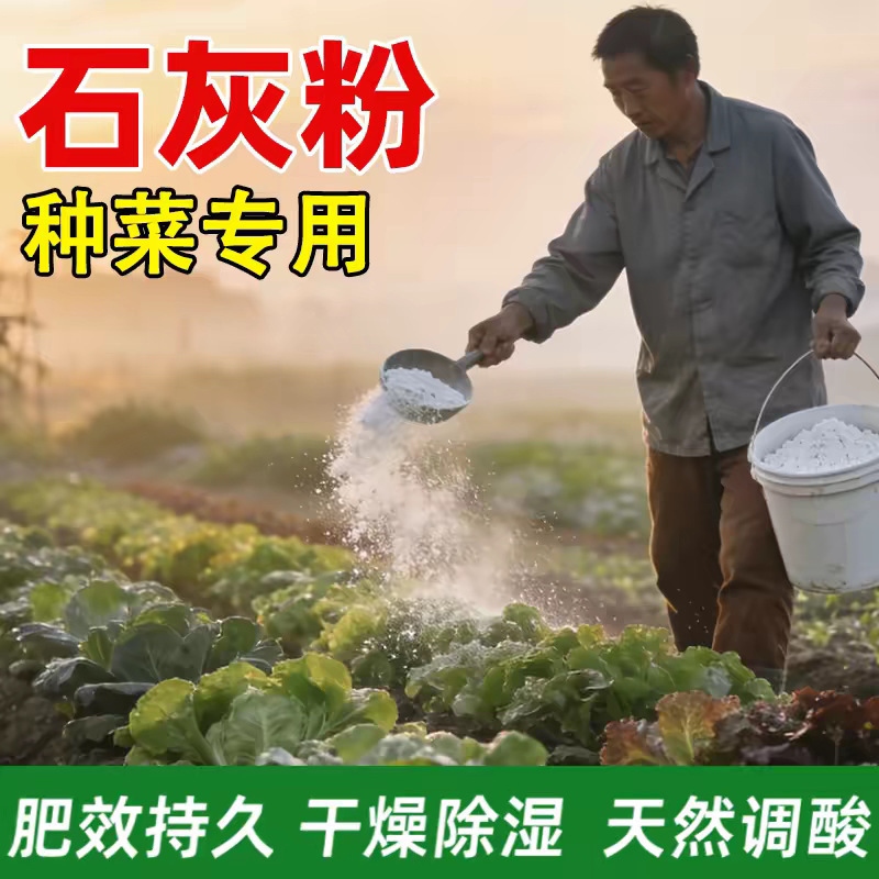 Lime Powder for Gardening: Sterilization, Disinfection, Insecticide, Insect Repellent, Desiccant, Improve Water Quality, Improve Soil, Prevent Mold and Disease Lime Powder for Gardening: Sterilization, Disinfection, Insecticide, Insect Repellent, Desiccant, Improve Water Quality, Improve Soil, Prevent Mold and Disease