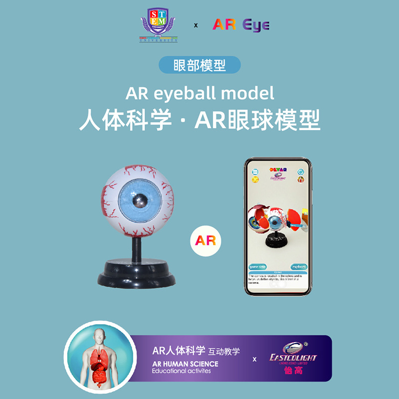 Yigao estudiante oftalmología experimento de lujo traje modelo de ciencia y educación para niños juguete estructura fisiológica modelo de ojo humano