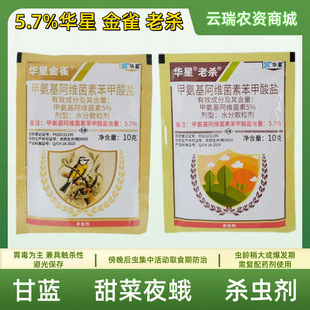�A�ǽ�ȸ�Ϛ�5.7%�׾S�}10�˼װ������S�����߲˸��{ҹ�ꚢ�x��