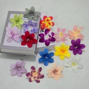 �S�����l��ѩ�m���^���滨��diy���ֶY�ٻ��^��������ϰ����