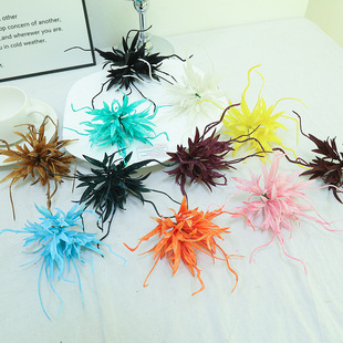 ���潁����횕һ�����ݻ��ٻ����^�Ҿӻ�c�b[�����滨�߼���