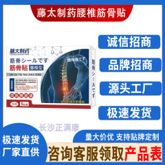 Fengtai Pharmaceutical 腰椎筋骨パッチ 5 パッチ/箱工場直接供給在庫あり卸売ドロップシッピング