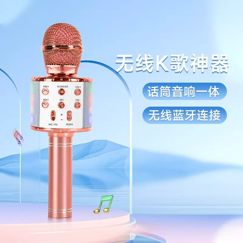 工厂带灯一体机话筒无线蓝牙音箱直播麦克风音响一体掌上设备宝宝