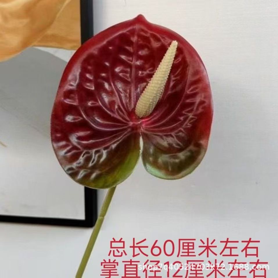 색상 번호 20