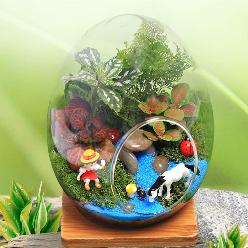 Jingjiao мох микро пейзаж яйцо бутылка стеклянная бутылка DIY Материал Пакет Крытый офис рабочего стола бонсай посадки деятельности