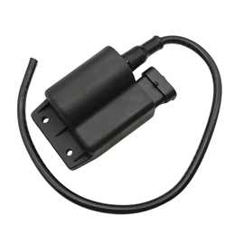 点火线圈;电子调节器;点火器