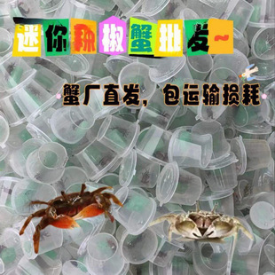 зС�з�^�pз����������з�ľ�з���������lˮ��[���Ї�