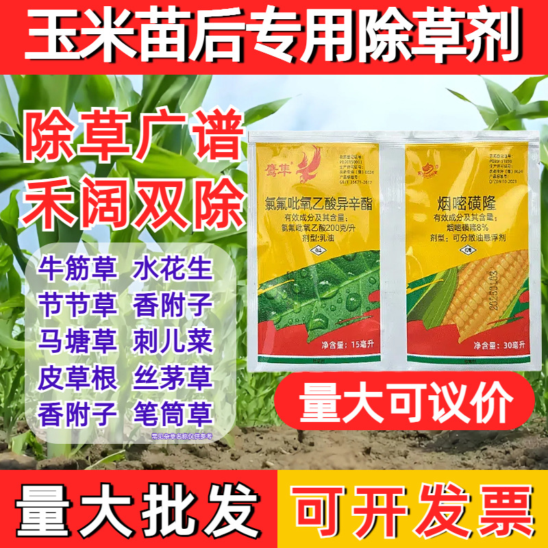 农药拿货批发鹰隼烟嘧磺隆+氯氟乙酸玉米地除草剂苗后厂家供应
