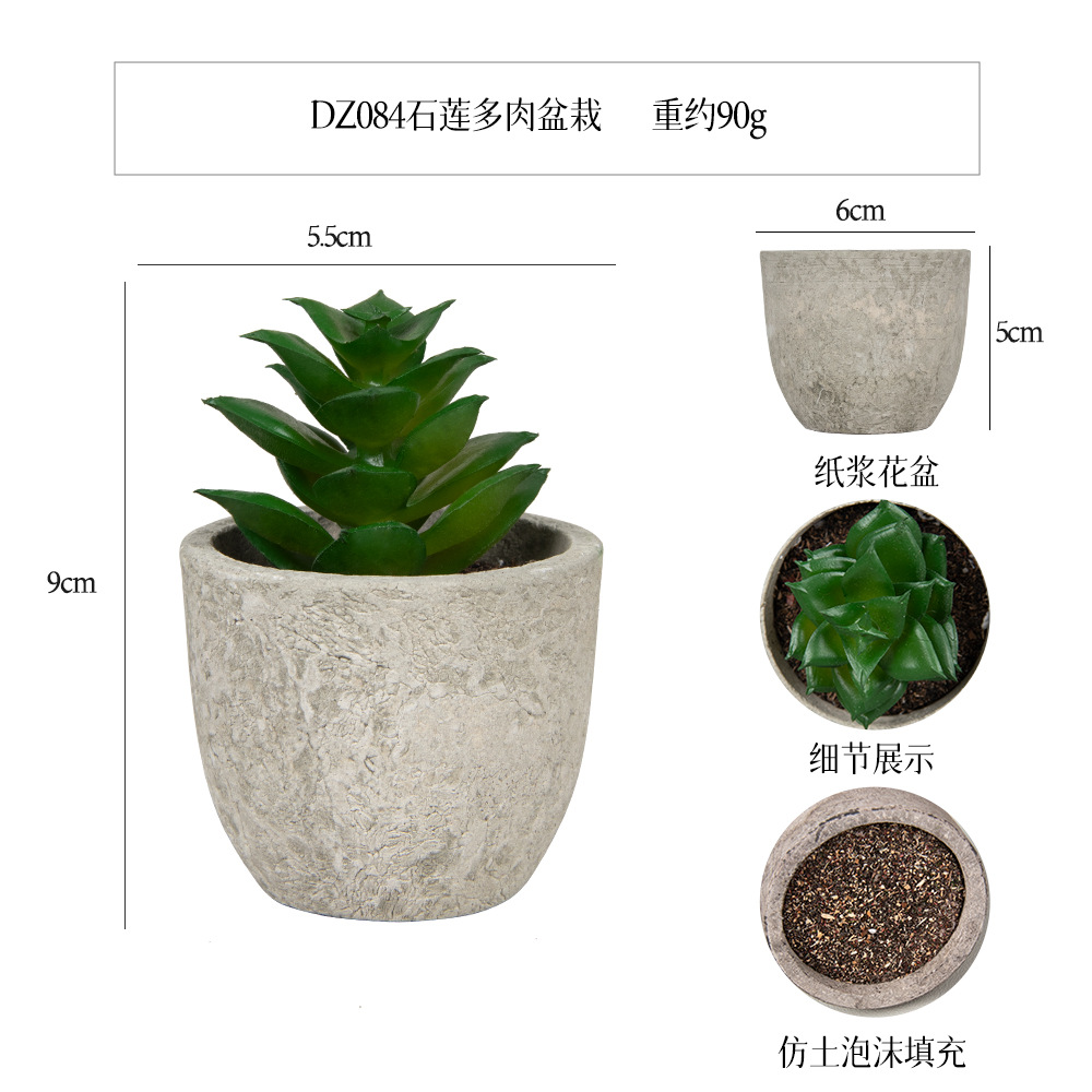 Más de 100 estilos de macetas de pulpa de papel vintage con plantas suculentas simuladas, pequeños adornos populares de estilo jardín para decoración del hogar transfronteriza. image 82