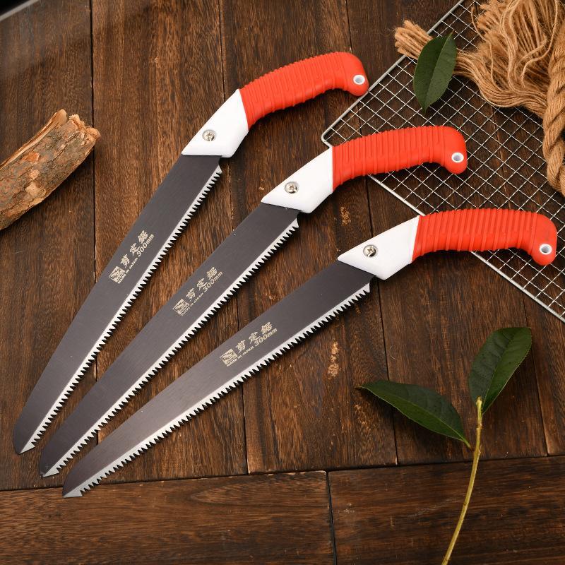 DM_20241022164322_010