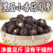 精选黑面金钱菇蘑菇剪根新货小香菇肉厚香浓特产冬菇散装干货批发