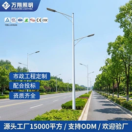 路灯;太阳能灯;道路照明灯